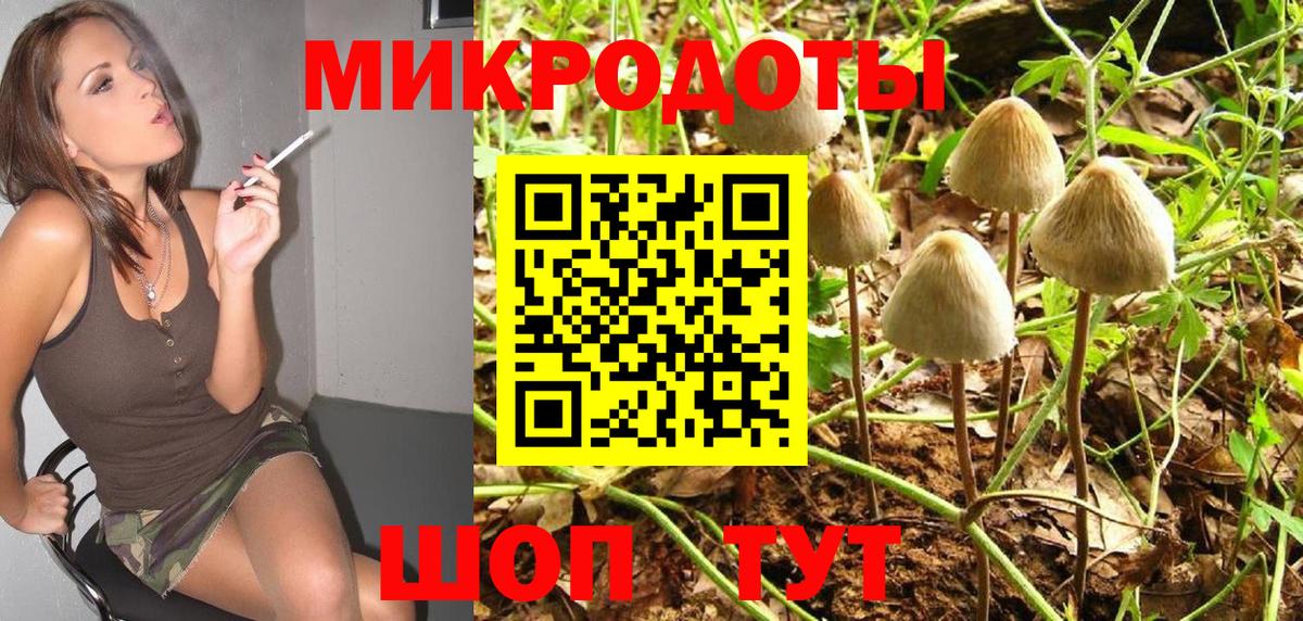 Усолье-Сибирское  Псилоцибиновые грибы Cubensis  Вход с VPN  Псилоцибиновые грибы прущие грибы 